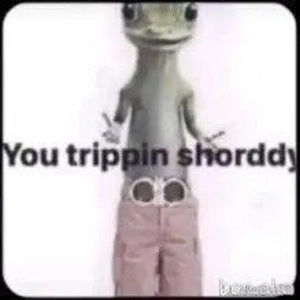 Meet your Posher, Andy